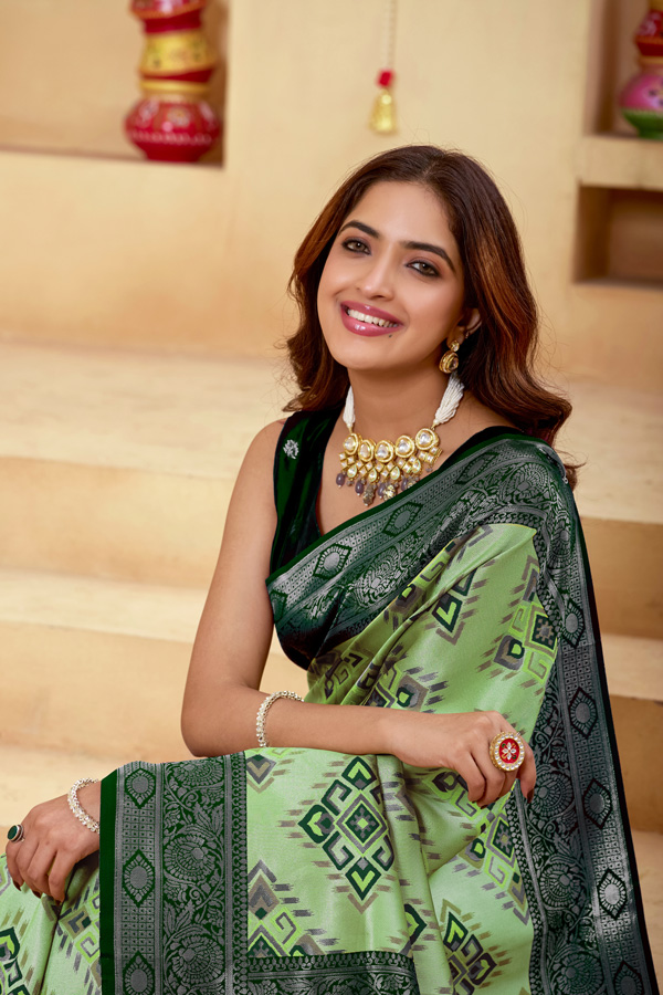 Luchila Woven Design Zari Patola Saree With Blouse Piece