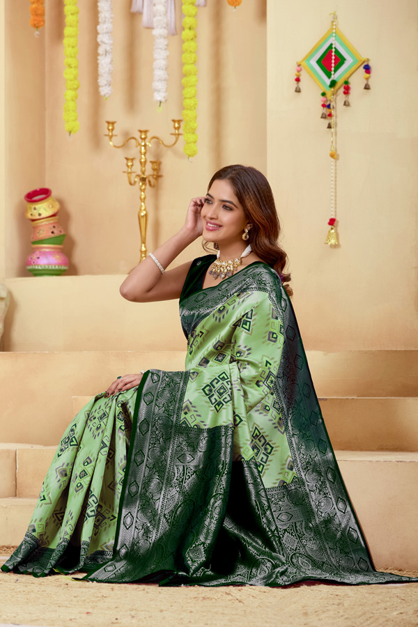 Luchila Woven Design Zari Patola Saree With Blouse Piece